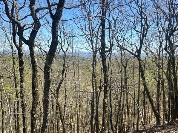 00WP Haas Hill Rd, West Coxsackie, NY 12192