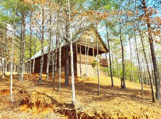 1456 Mc Guinn Rd, Mill Spring, NC 28756