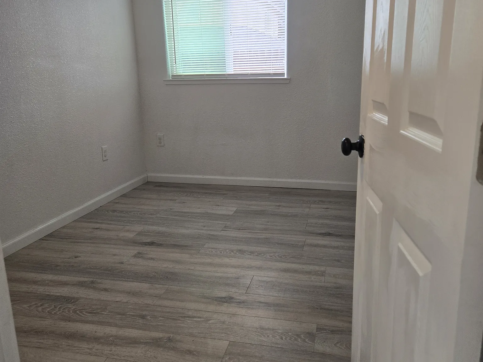 2 bed, 720 sqft, $1,450 — Photo 3