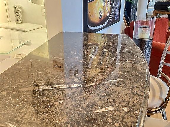 Genuine fossil countertops