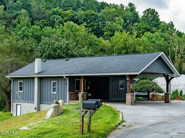 198 Buck Creek Rd, Roan Mountain, TN 37687