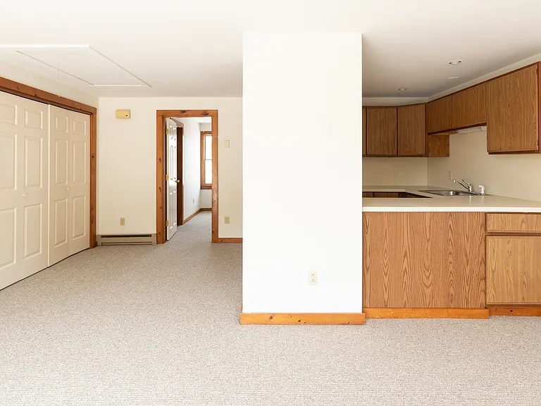 Kitchen/Living Area