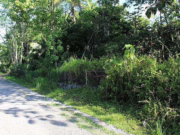 3rd image of 14th Ave Lot 457