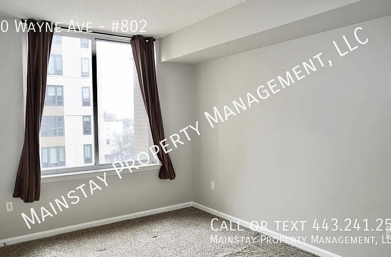 930 Wayne Ave #802 — Photo 11