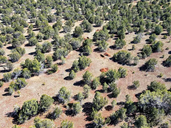 187 E Spotted Owl Ln, Williams, AZ 86046