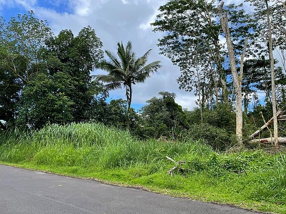 2nd image of Puni Mauka Loop N Lot 31
