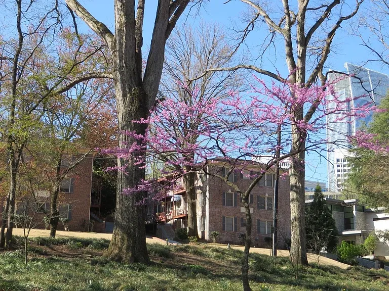 67 Lafayette Dr NE #2 — Photo 5