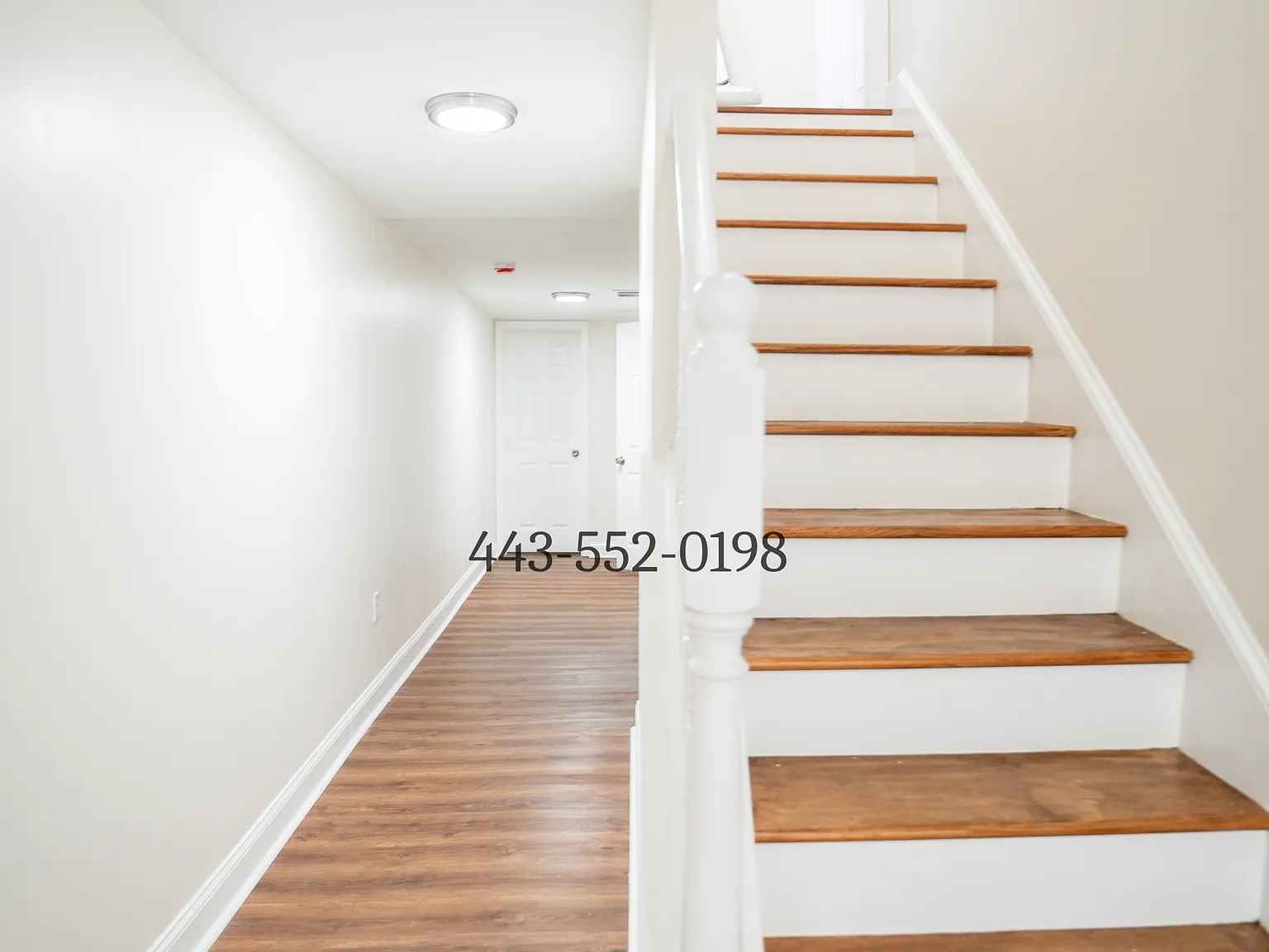 1 bed, 1000 sqft, $1,000 — Photo 3