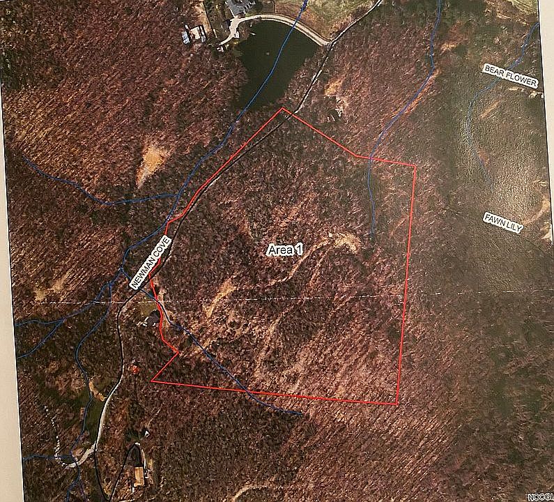 2nd image of 105 Newman Cove Rd