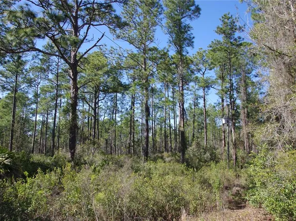 0 NE 67th Ave #9, Citra, FL 32113