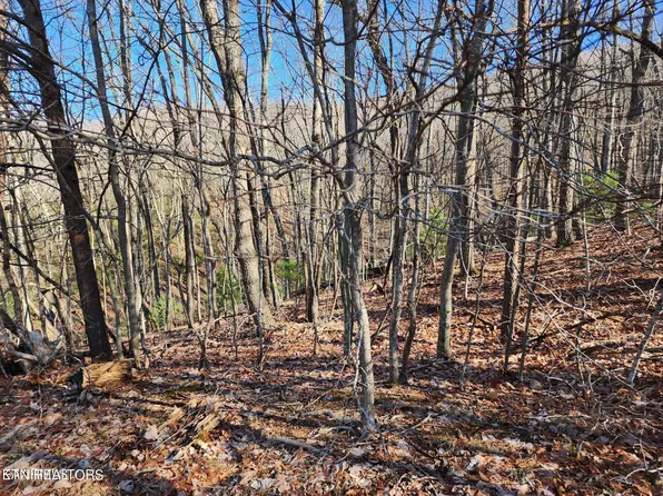 56 Homberg Ln, Fairfield Glade, TN 38558