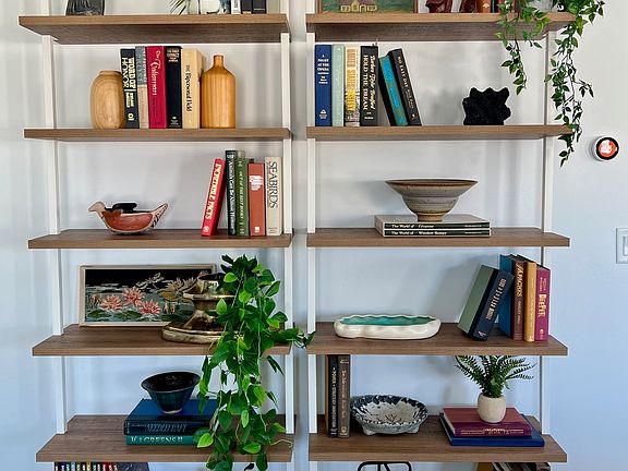 Living Room Shelving