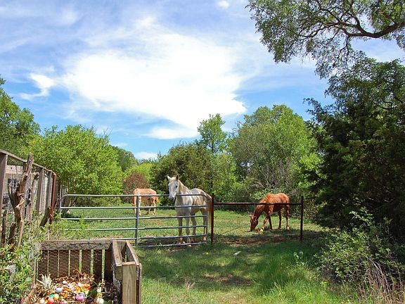 Spacious backyard adjoins a green space and a neighbor's friendly horses.