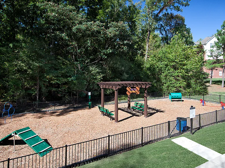 Dog Park