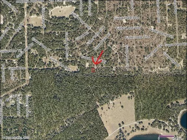 Guava Pass Lot 1, Weirsdale, FL 32195