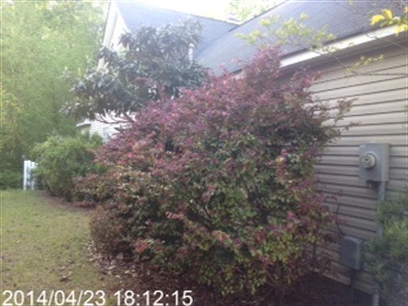 2nd image of 125 Gauley Dr
