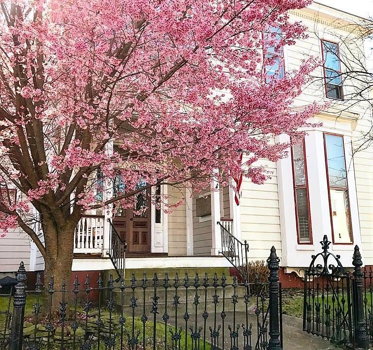1st image of 303 W Freemason St APT 2
