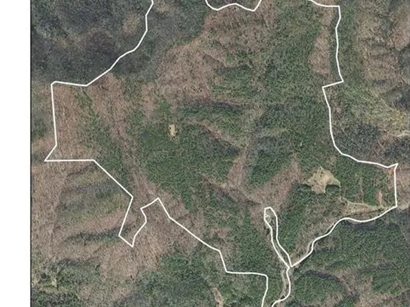 1501 Buckwheat Rd, Mc Grady, NC 28649