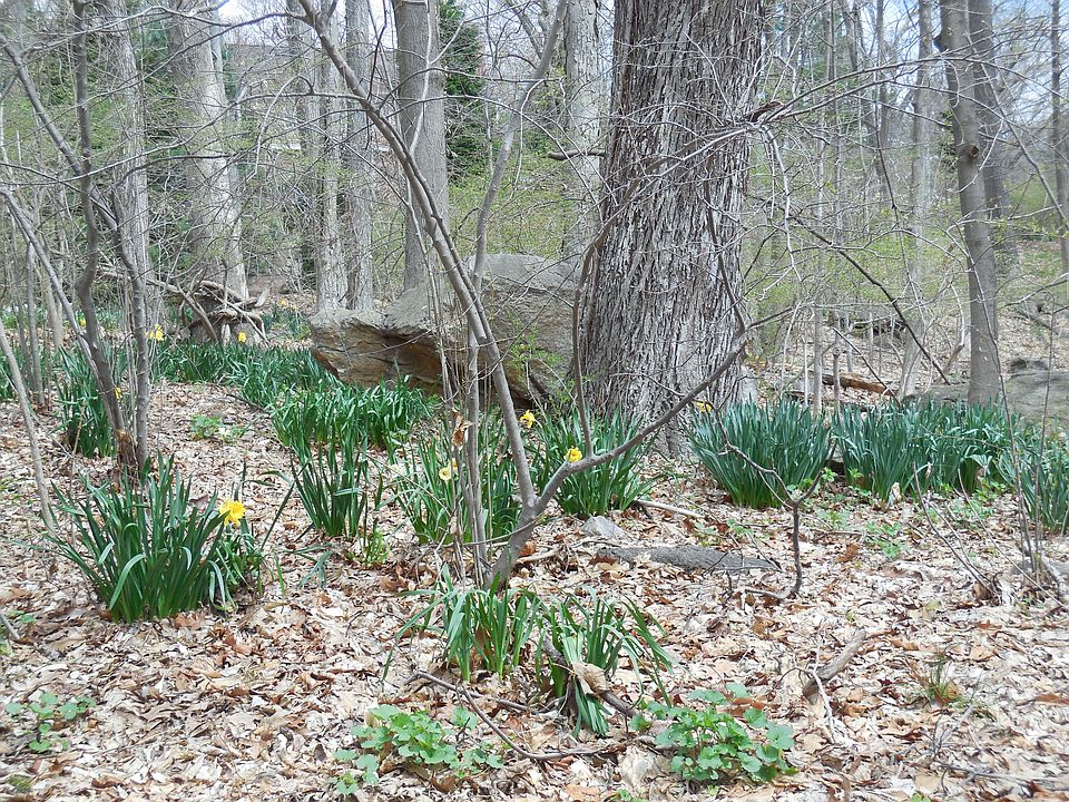 1st image of 0 Knollwood Drive East #16