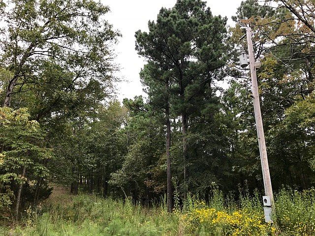 2nd image of 131 Treasure Ln