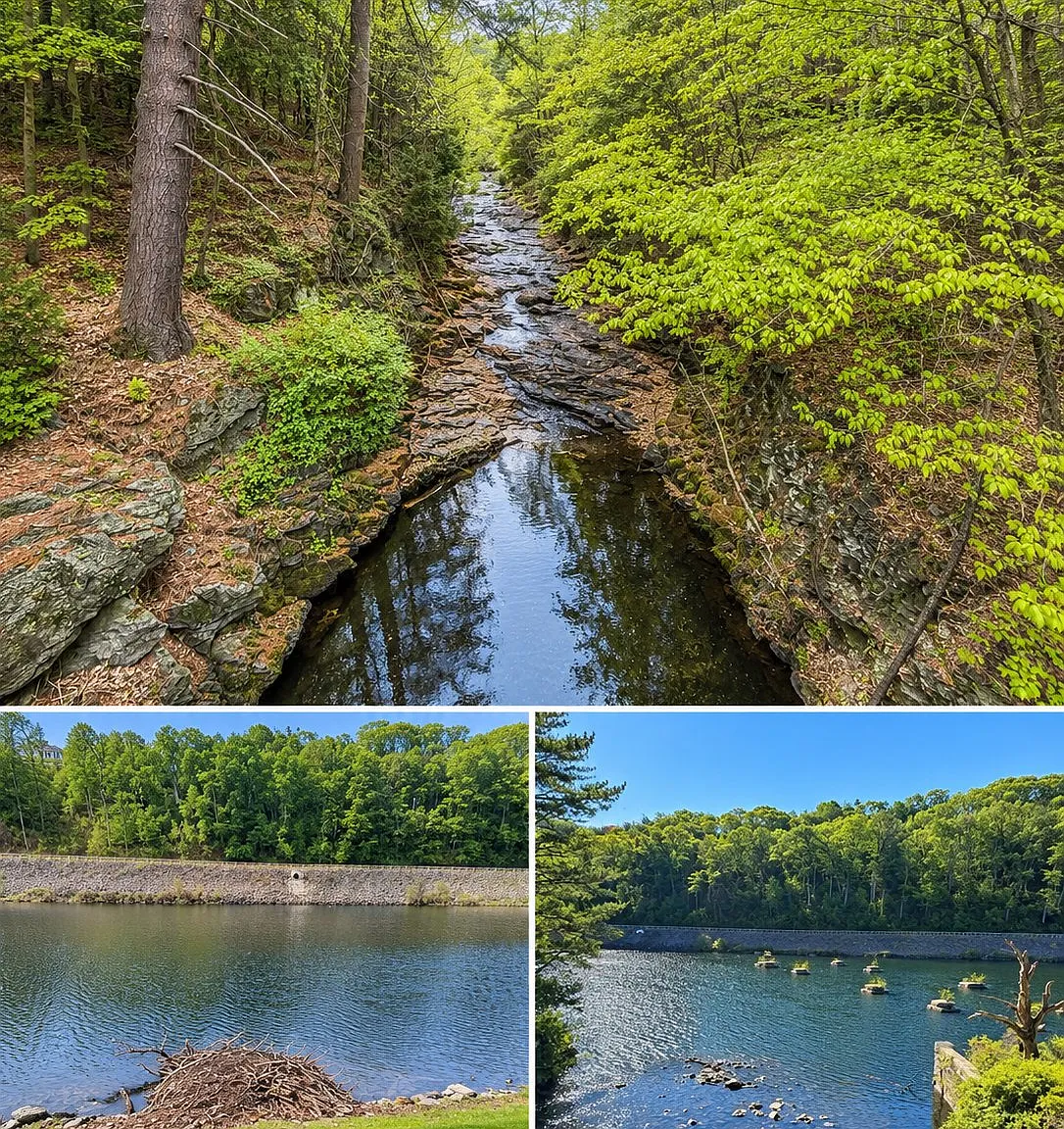 Available September 18th - Unbeatable Waterfront Location! — Photo 3