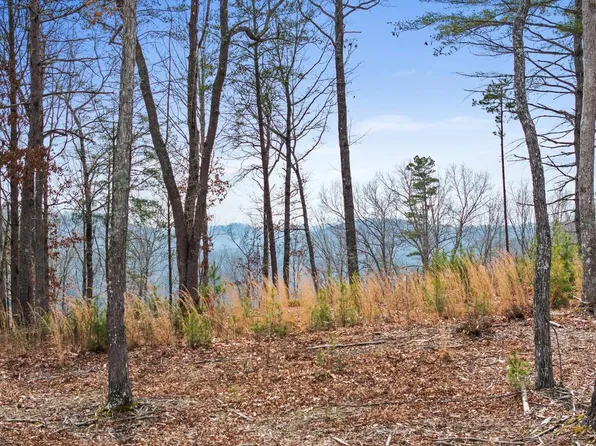 162 Ridge Dr, Morganton, GA 30560