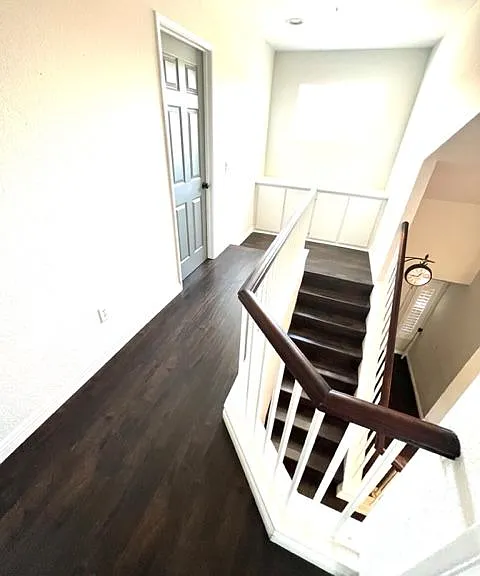 11808 Letini Dr — Photo 7