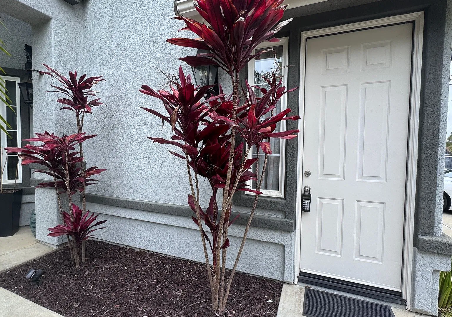 Unfurnished 1 Bedroom with AC and Private Garage! — Photo 2