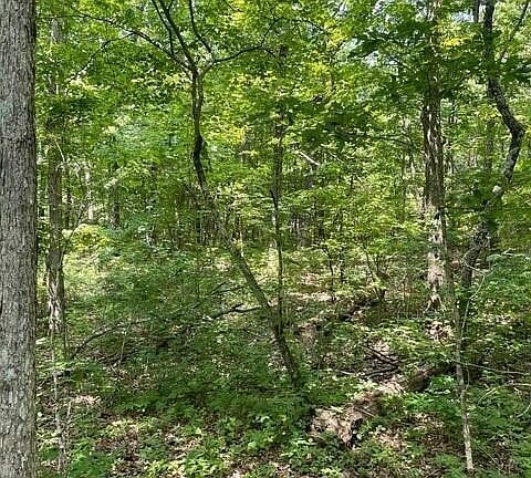 5th image of 5 N Campbell Rd Lot 5