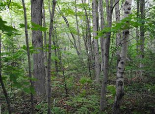 665 E 44th Rd, Cadillac, MI 49601