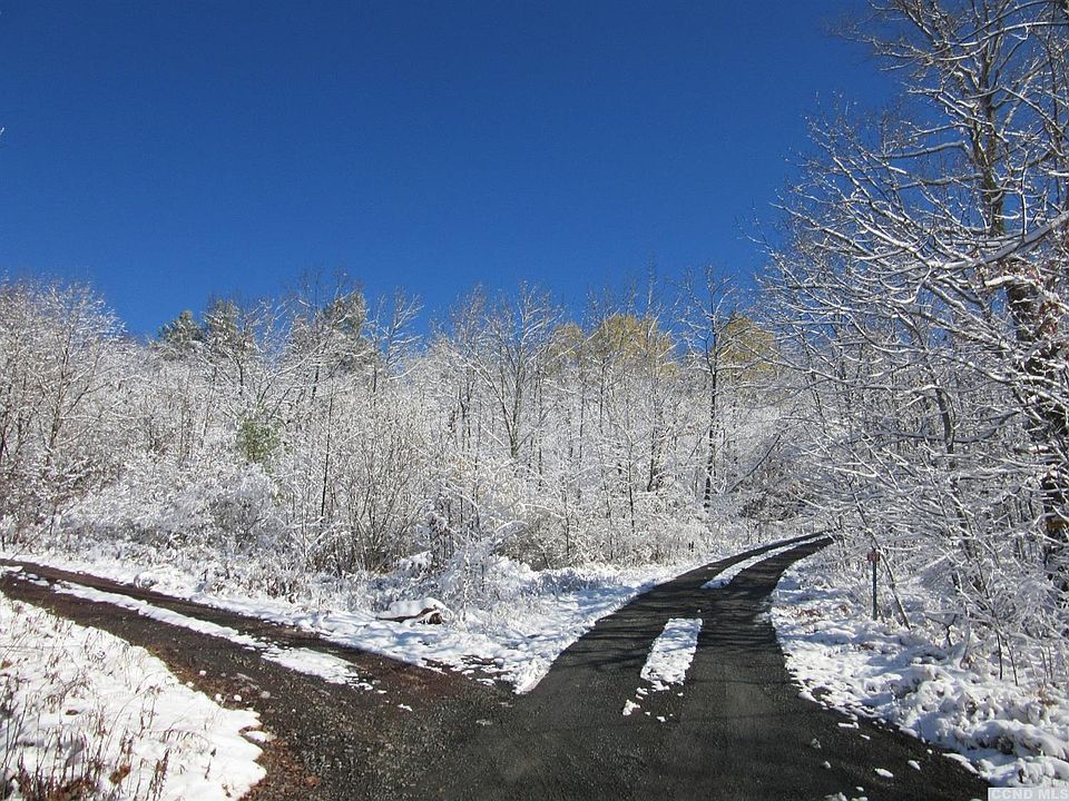 265 Barnum Rd, East Jewett, NY 12424 Zillow