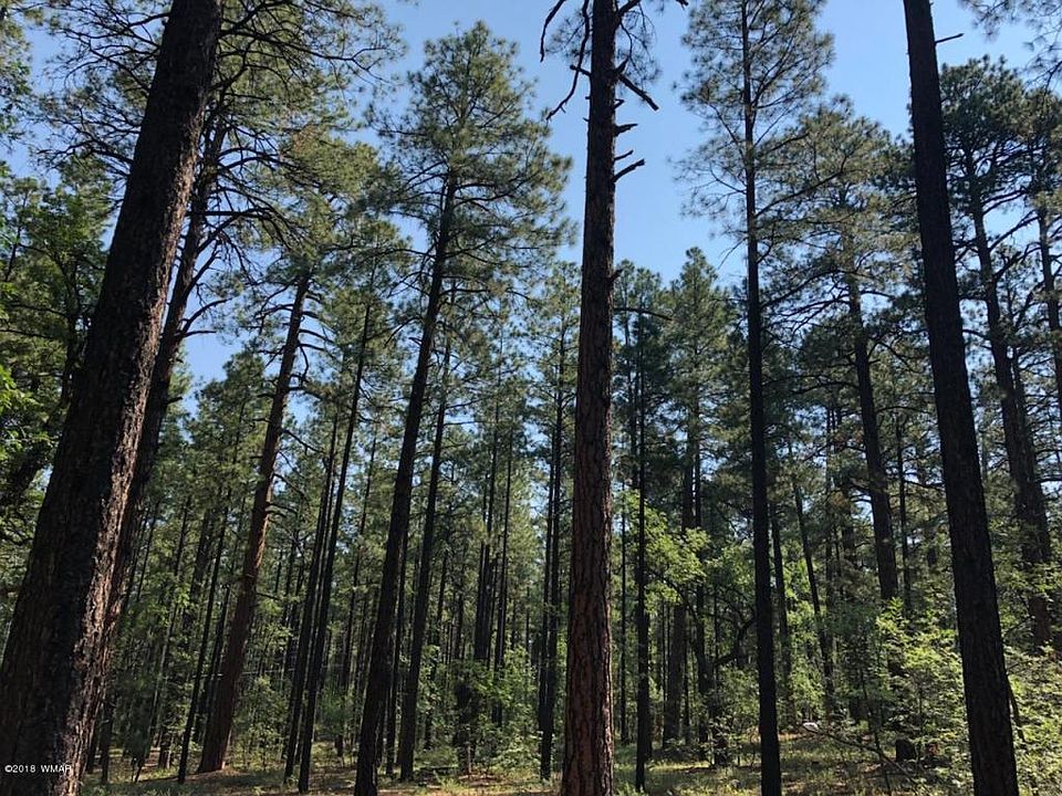 3121 Strawberry Hill Rd, AZ 85935 Zillow