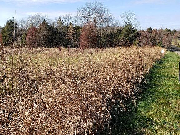 2nd image of LOT 7 Michael Ryan Dr