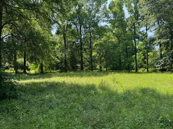 LOT 3 Hunterwood Dr, Jasper, TX 75951