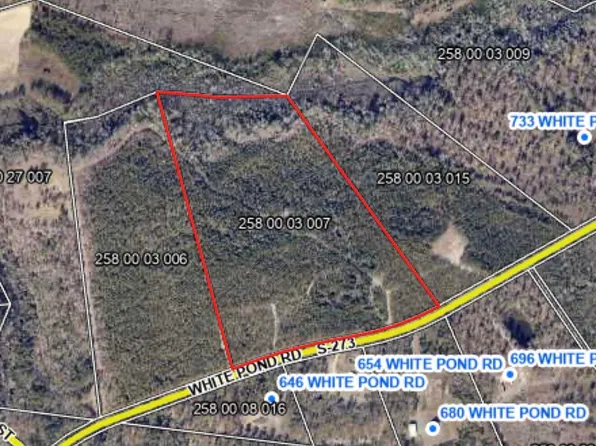 687 White Pond Rd, Williston, SC 29853