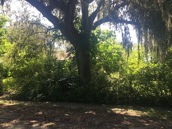 2nd image of 116 Citrus Grove Blvd N