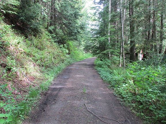 Access road around the lake