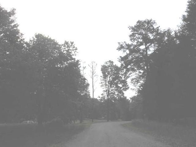 2nd image of 137 Maxfield Rd
