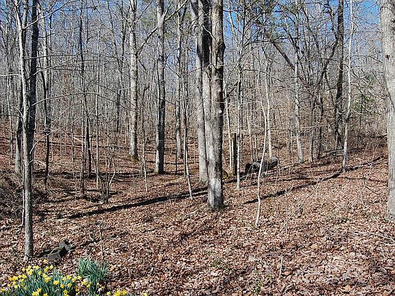 2nd image of 5 Pickett Cross Rd