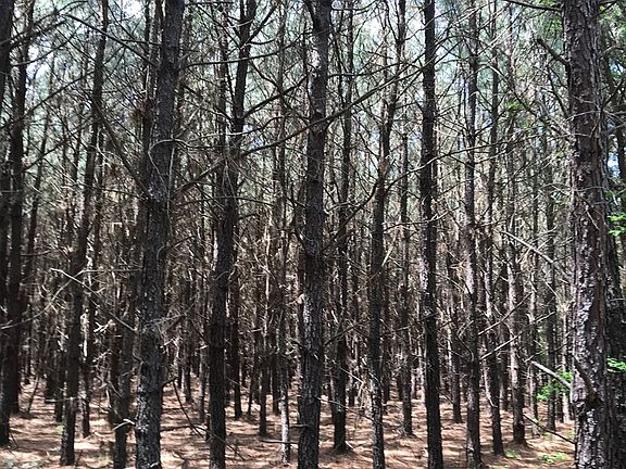 5th image of Fm 251