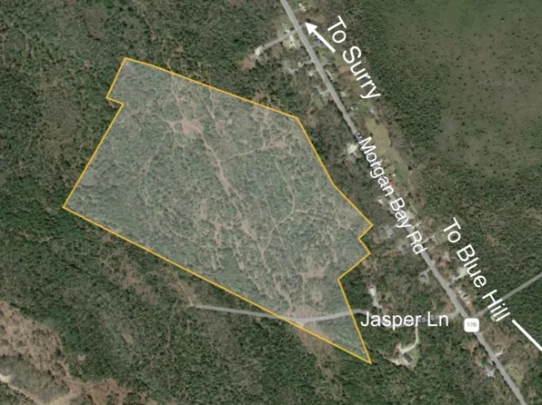 Lot 8 Jasper Lane, Surry, ME 04684