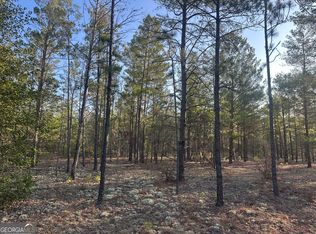 2 Horne Rd, Roberta, GA 31078