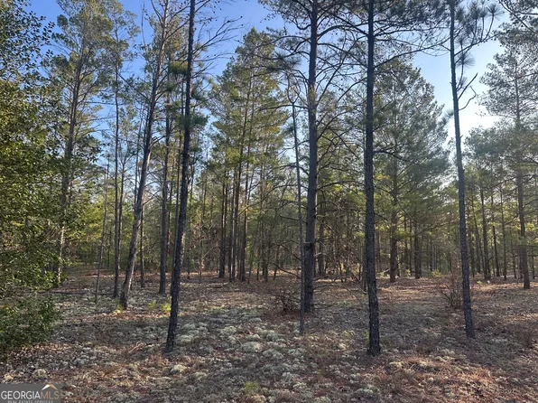 2 Horne Rd, Roberta, GA 31078