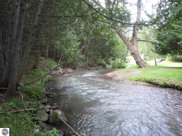 N A Beechwood Rd, Rose City, MI 48654