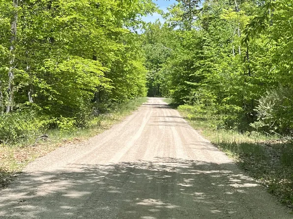 PARCEL Old Oak Rd #A, Cheboygan, MI 49721