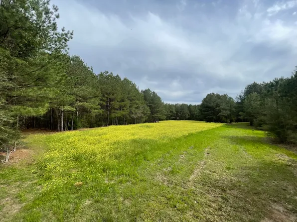 0 Lampton Hilltop Rd, Columbia, MS 39429