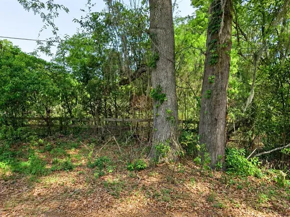NE 175TH STREET, CITRA, FL 32113