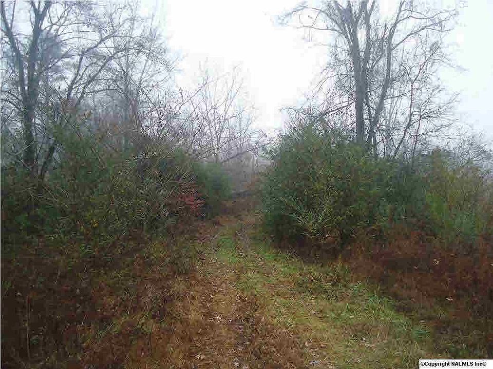 2nd image of 499 Shady Grove Rd