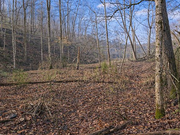 4th image of 1 Lower Turkey Creek Rd