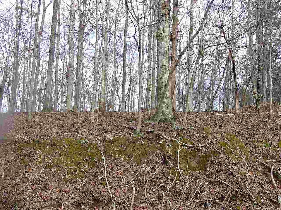 2nd image of Mallard Rd